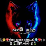 අනිත් එකට එන්න  Whatsapp Group Link Join