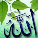 ISLAM ইসলামের আলোচনা করি  Whatsapp Group Link Join